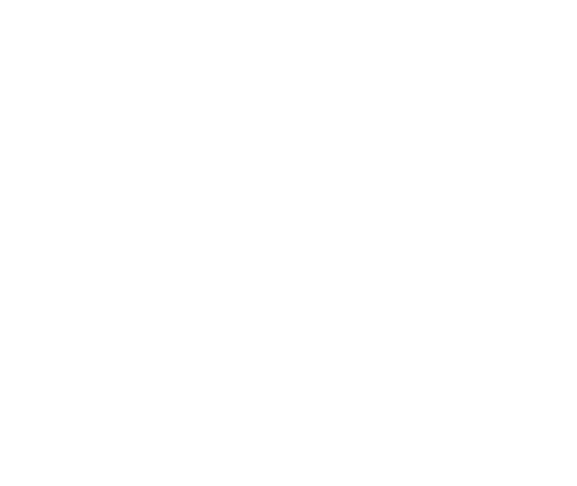 Paddles Up Training Logo